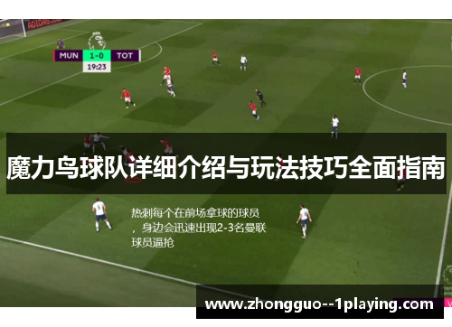 魔力鸟球队详细介绍与玩法技巧全面指南